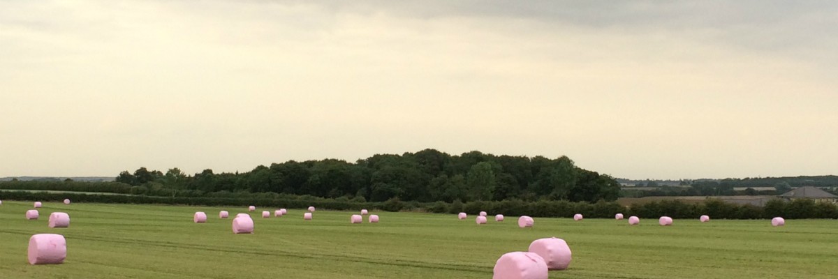 Pink Bales